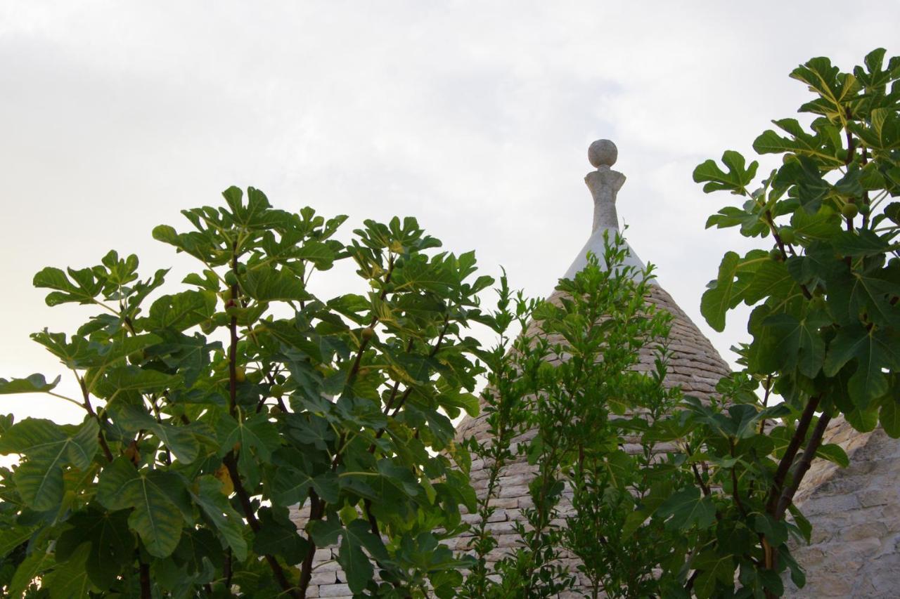 Masseria Sciaiani Piccola Villa Castelli Luaran gambar