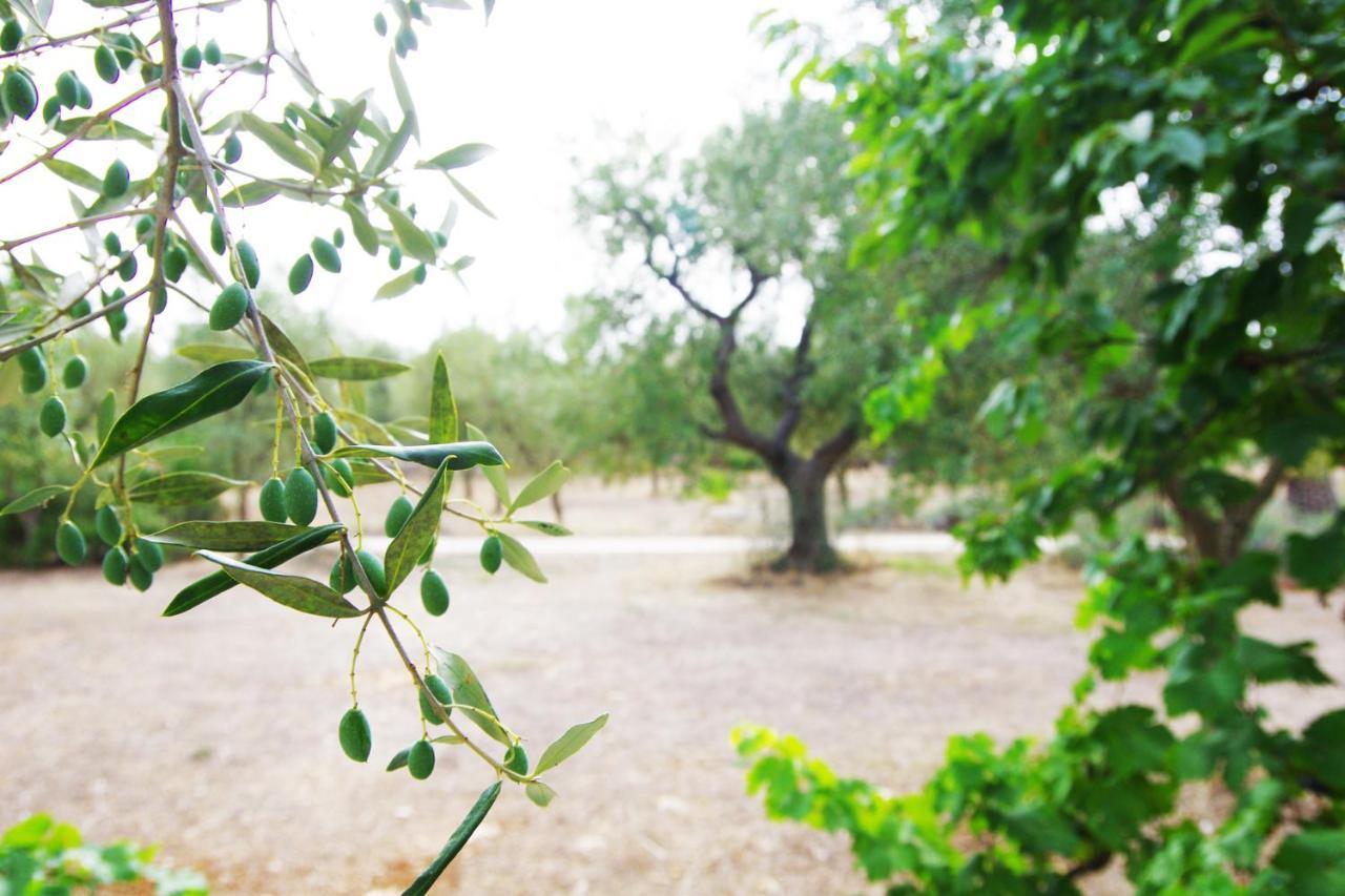 Masseria Sciaiani Piccola Villa Castelli Luaran gambar