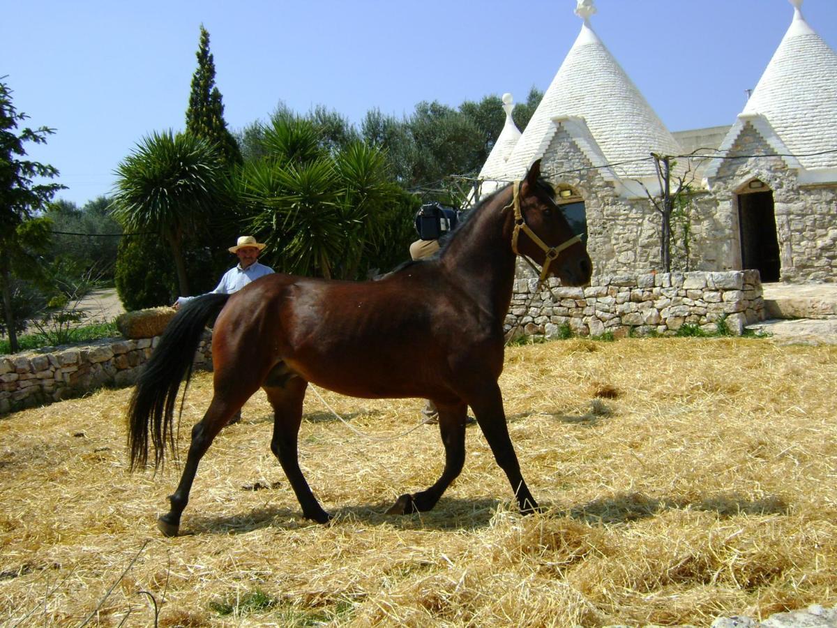 Masseria Sciaiani Piccola Villa Castelli Luaran gambar