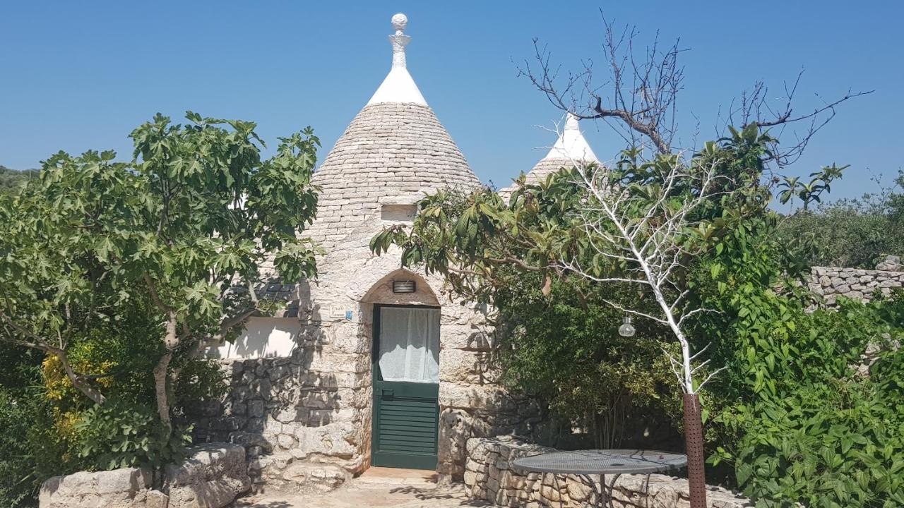 Masseria Sciaiani Piccola Villa Castelli Luaran gambar